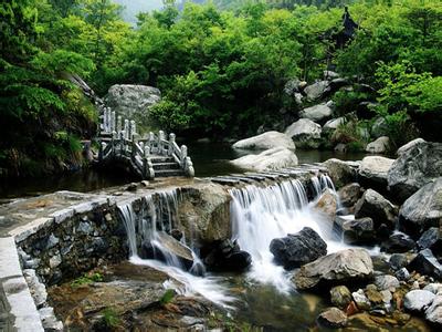 河南那些景美人少的旅游景点-原始林海黄柏山