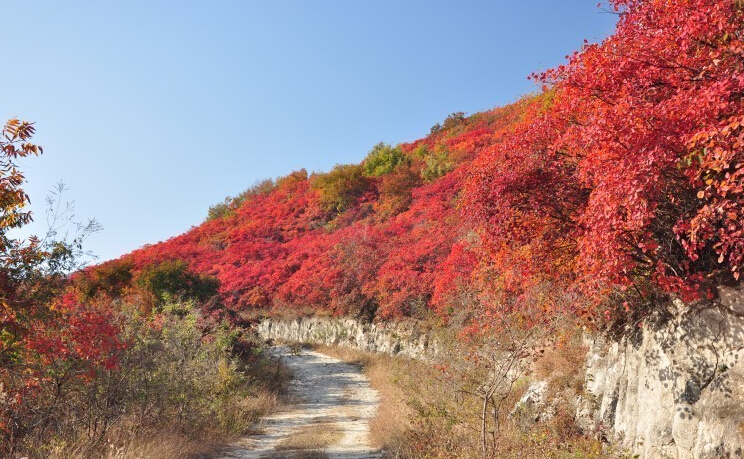 河南那些景美人少的旅游景点-淮源：千里淮河桐柏来