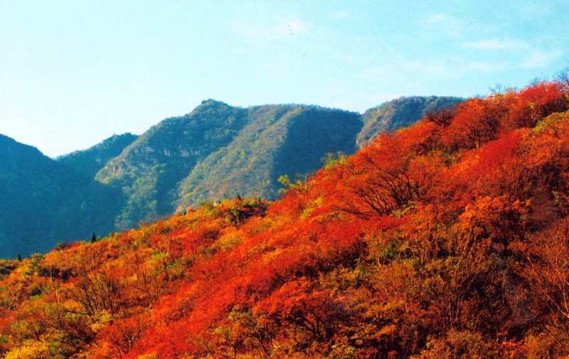 河南旅游郑州周边赏秋最佳地儿-嵩山