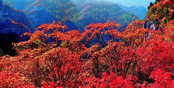河南旅游郑州周边赏秋最佳地儿-云台山