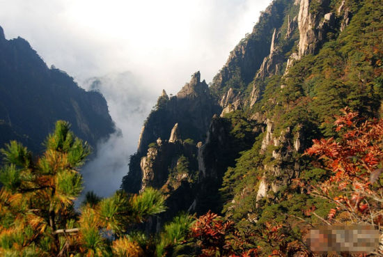 雨后黄山 云海与秋景相遇 演绎天地大美